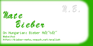 mate bieber business card